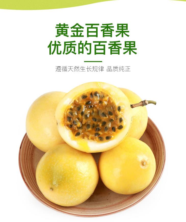 钦蜜9号黄金百香果架网-钦蜜9号黄金百香果的土地条件